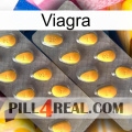 Viagra cialis2